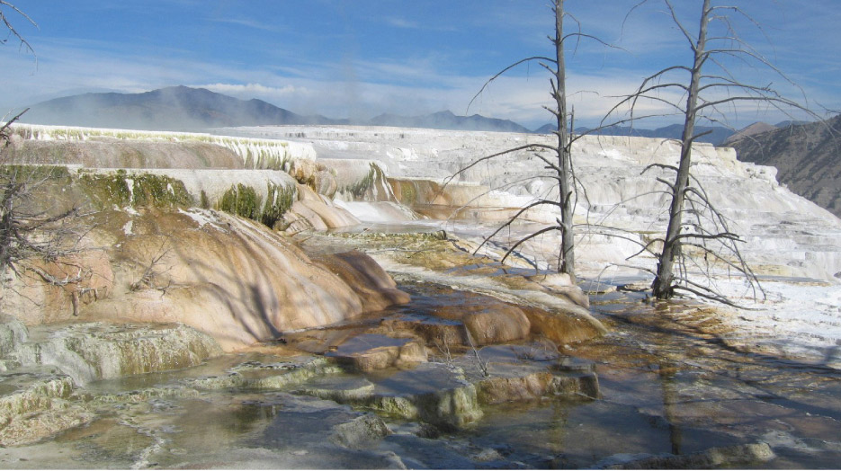 Travertine is a limestone, primarily calcite or aragonite, which has been normally deposited in or near mineral springs