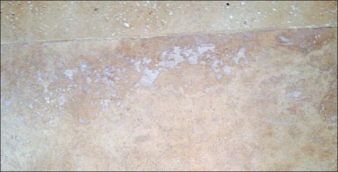 Jerusalem travertine after filling with tinted knifegrade polyester.