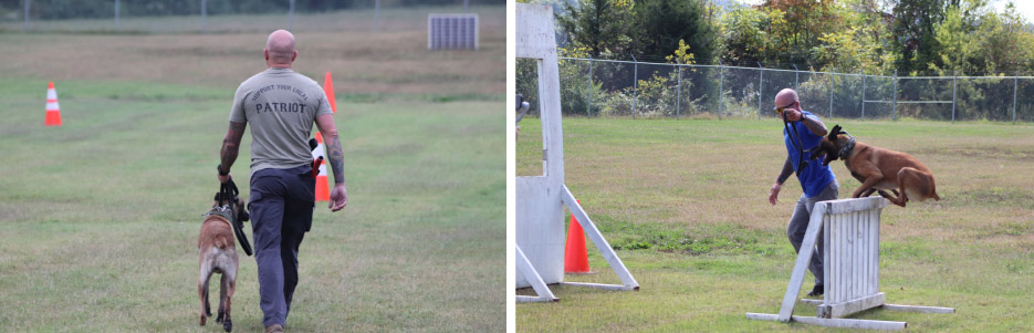 Deputy Nick Halsey and his Belgian Malinois partner, “Knox,” training and working out.